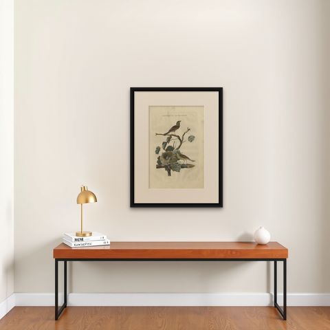 Ortolan Bunting, Antique Dutch Bird Print by Sepp & Nozeman, 1789, shown framed on a wall