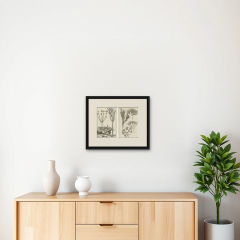Decorative Antique Prints, Marine Plants and Cactus Engravings, c.1770, shown framed on a wall