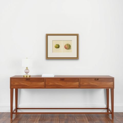 Set of 2 Antique Prints of the Gravenstein Apple and Alexander Apple, shown framed on a wall