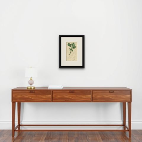 Antique Botany Print of the Sassafras Tree by G. Reid, 1831, shown framed on a wall