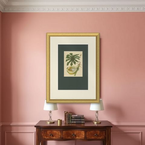 Papaya and Insects, 19th-Century Hand-Coloured Lithograph after Merian Plate 45, shown framed on a wall