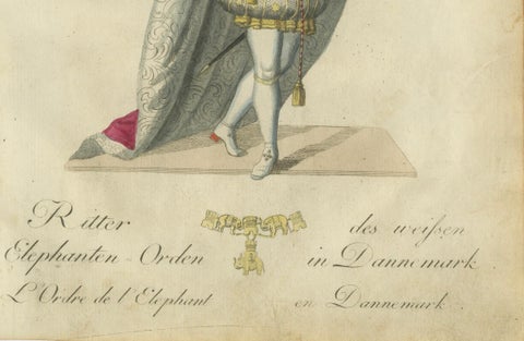Knight of the Order of the Elephant: 18th-Century Danish Chivalric Elegance, close-up 1