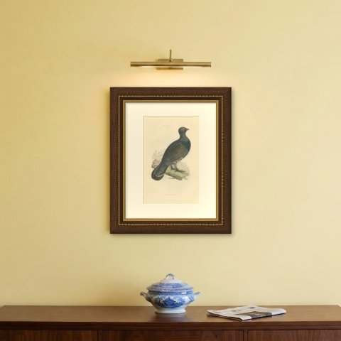 Capercaillie on a Fallen Log in Snowy Pines, Antique Bird Print, Morris, 1896, shown framed on a wall