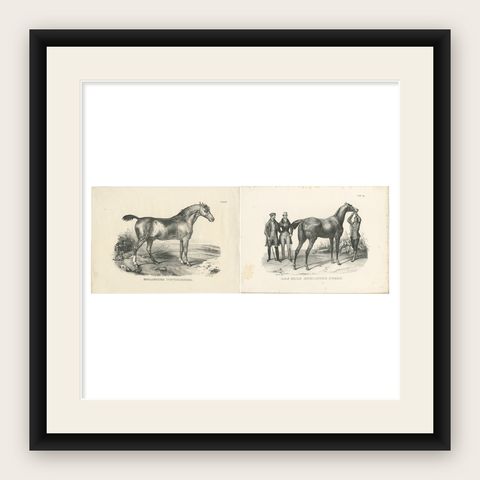 Set of 2 Original Antique Prints of English Horses, shown framed