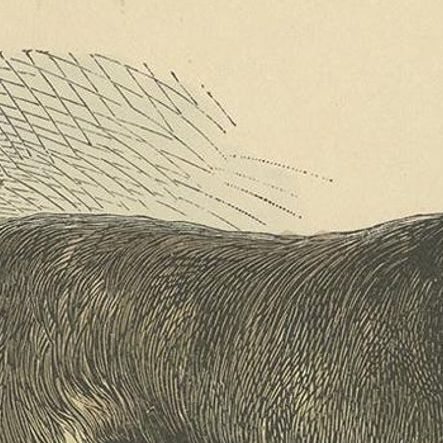 Antique Dog Print of a Rough Collie 'circa 1890', close-up 1