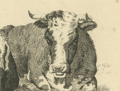 Tranquil Pastoral Scene with Two Resting Cows, by Anthony Oberman in 1810, close-up 2
