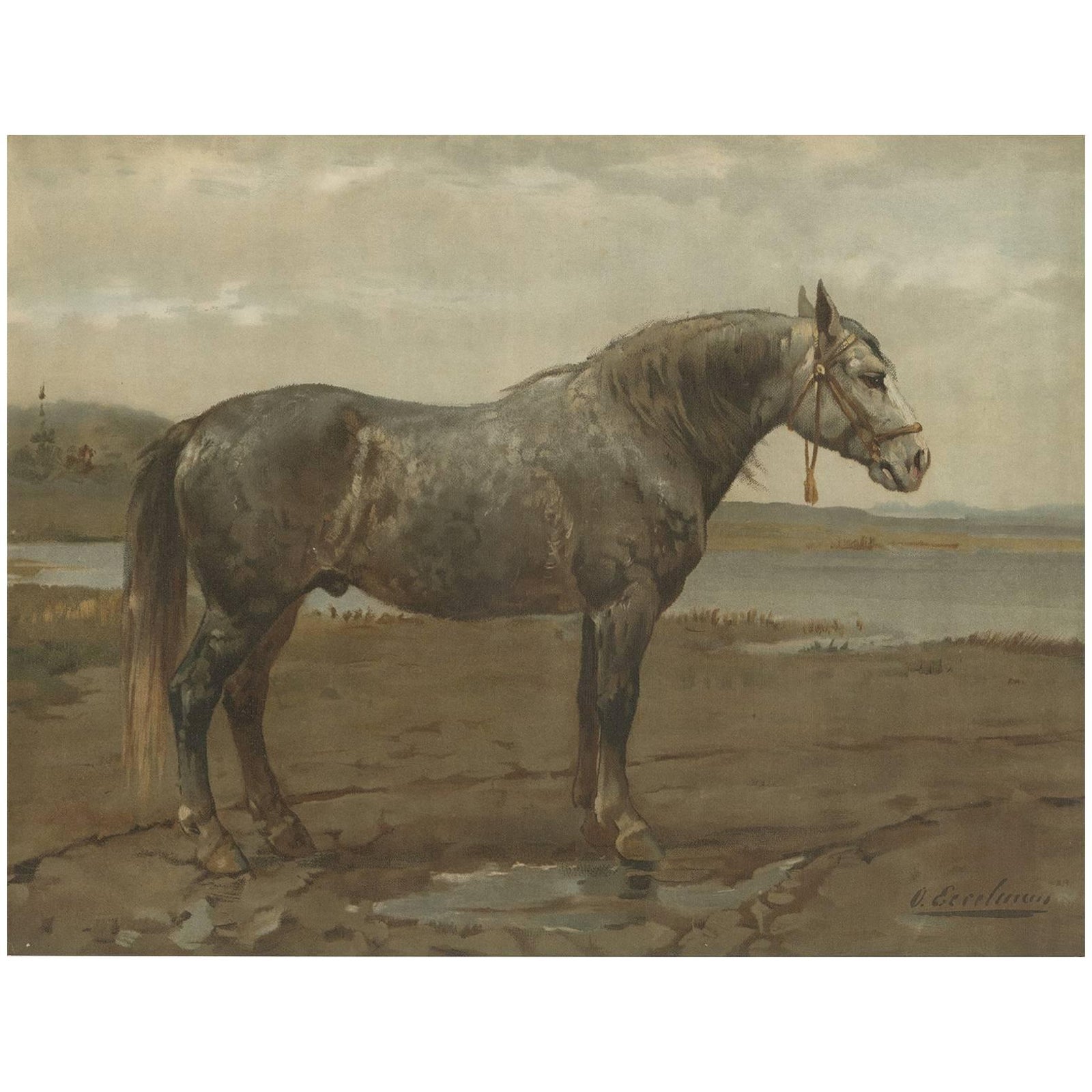 Antique Print of the Russian Horse by O. Eerelman, 1898