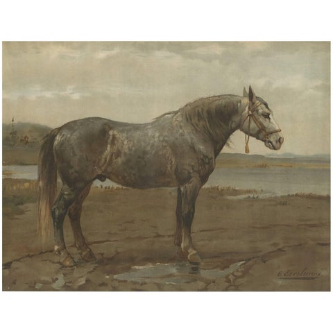 Antique Print of the Russian Horse by O. Eerelman, 1898