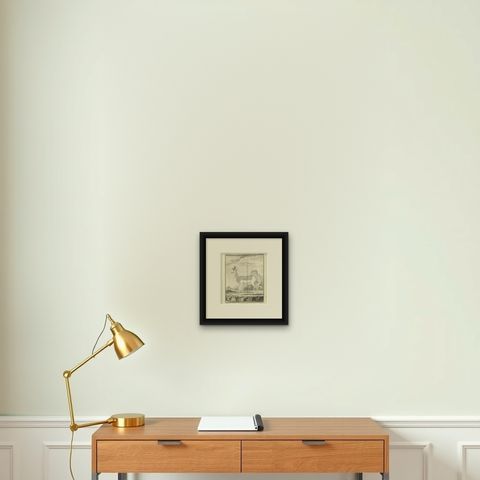 Pl. 36 Antique Print of an Antelope Species by Buffon, 1769, shown framed on a wall