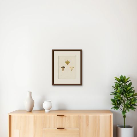 Antique Mycology Print of the Boletus Aereus by Fries, c.1860, shown framed on a wall