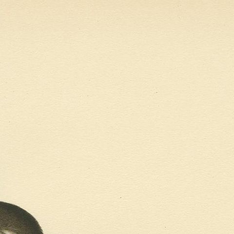 Antique Bird Print of a Young Velvet Scoter by Von Wright '1929', close-up 1
