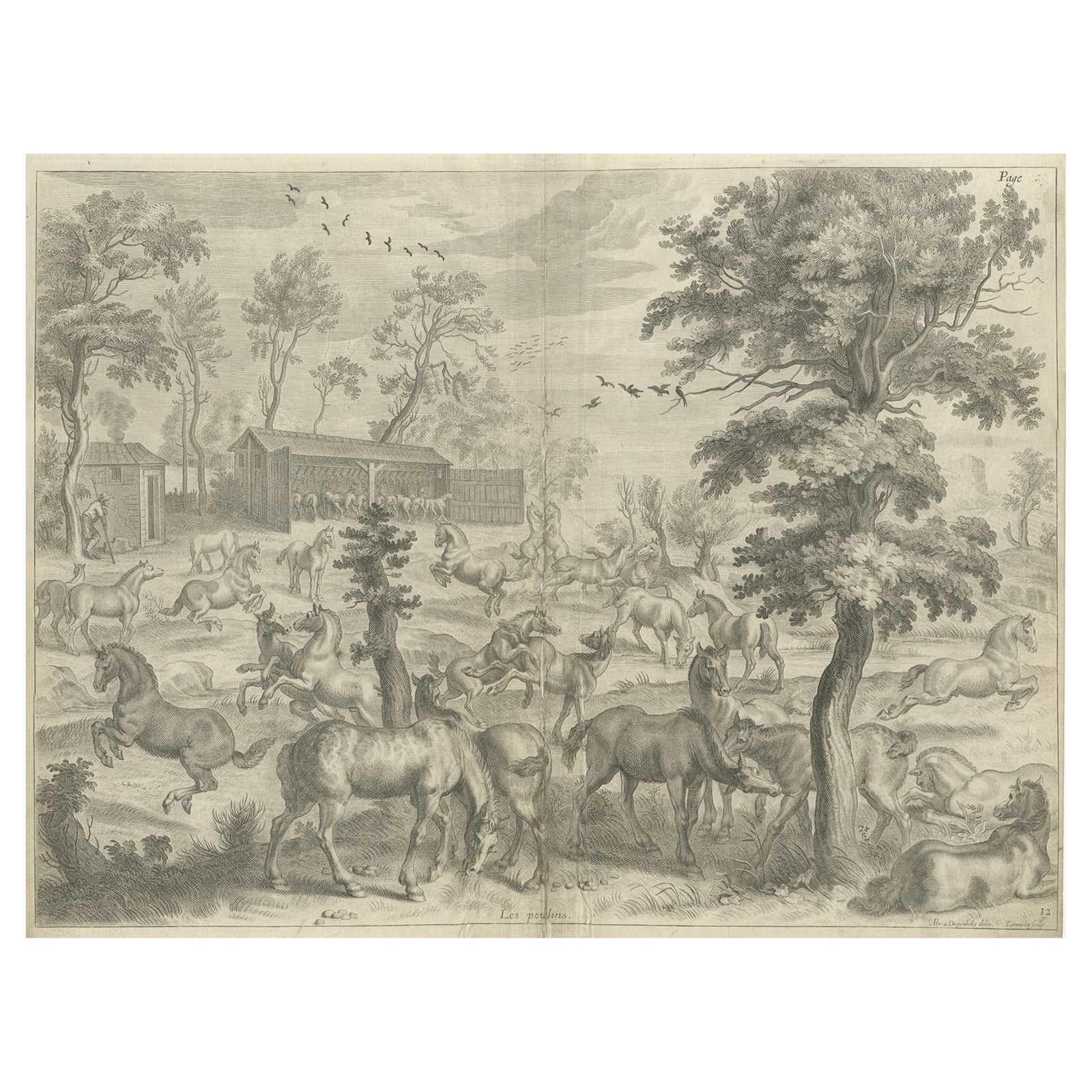 Old and Interesting Rare Print of a Study of Horses, ca.1665
