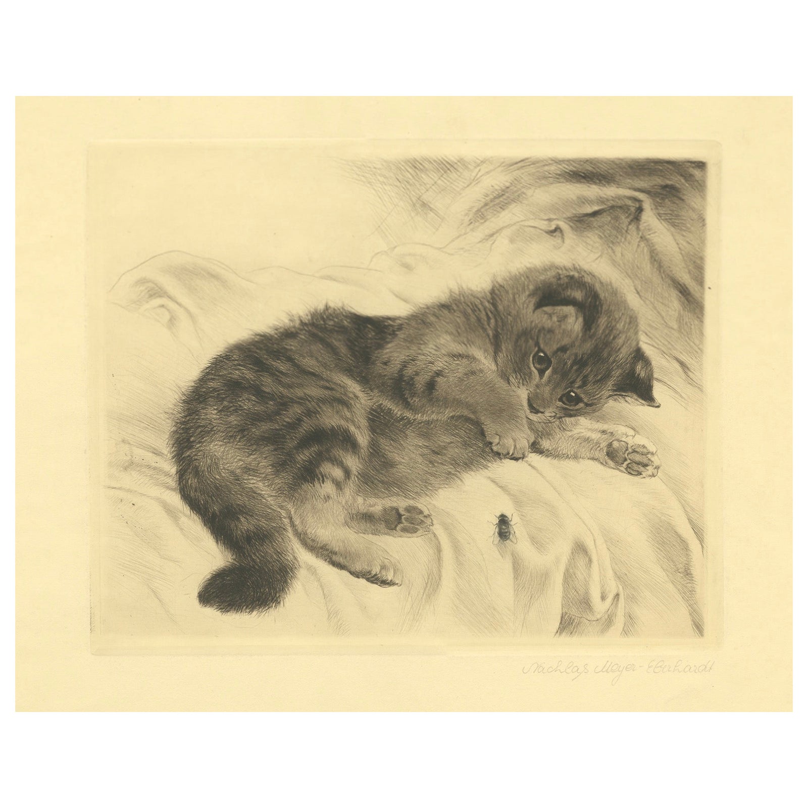 Charming Kitten Etching by Kurt Meyer-Eberhardt, Estate Edition 1977