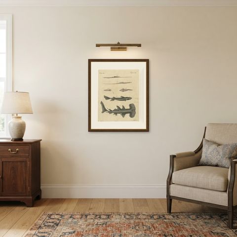 Hammerhead Shark with Pipefish and Sea Moths, Antique Bertuch Print, circa 1820, shown framed in a room