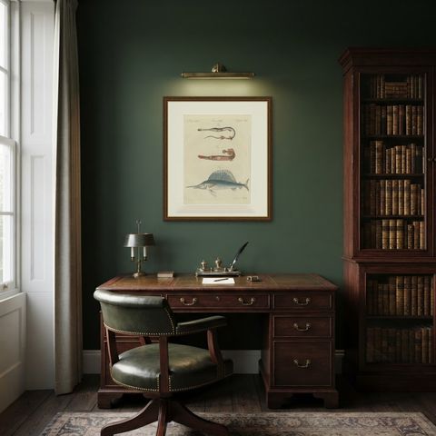 Sailfish, Cornetfish and Trumpetfish, Antique Bertuch Print, circa 1805, shown framed in a room