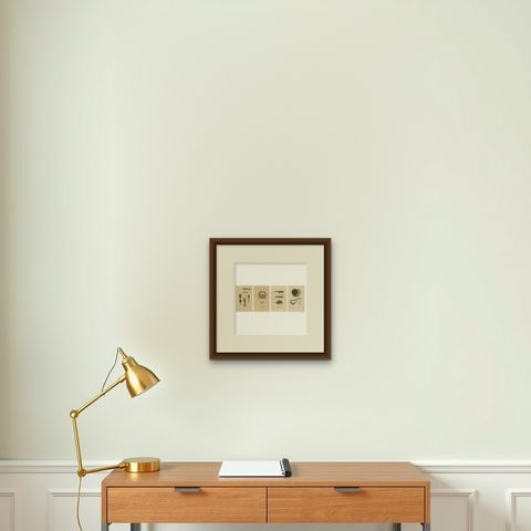 Antiquarian Handcolored Aquatic & Insect Engravings, 1845, shown framed on a wall