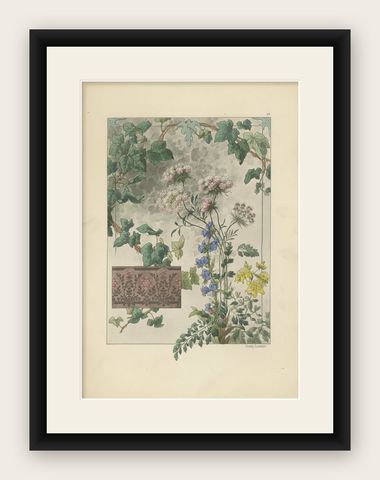 Floral Harmony in Art Nouveau: A Botanical Composition by Henry Lambert, 1896, shown framed