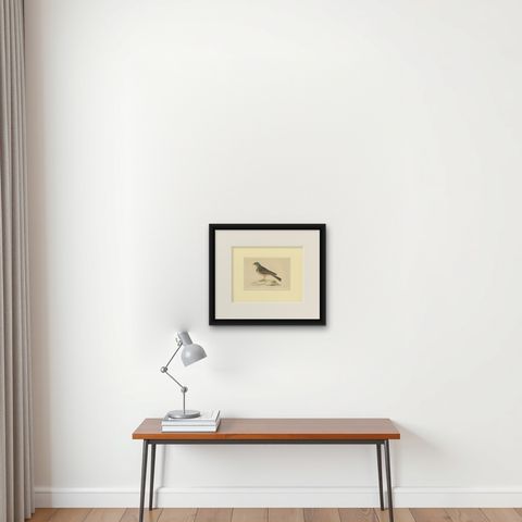 Antique Bird Print of Ortolan, shown framed on a wall