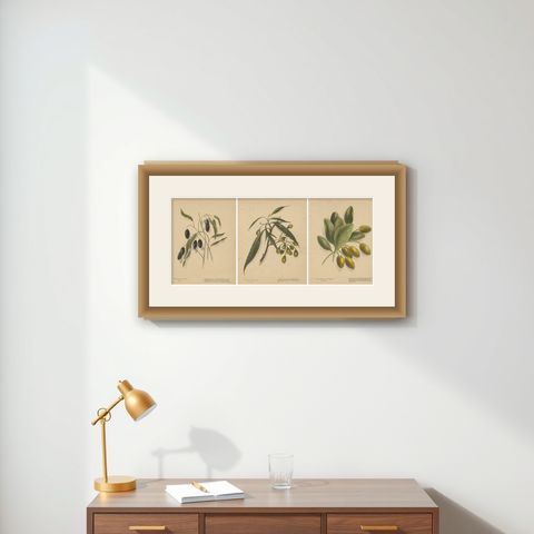 New Zealand Botanical Fruit Studies, Set of Three Lithographs, 1890, shown framed on a wall