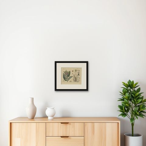 Common Milkweed with Seed Pods and Details, Antique Bertuch Print, circa 1818, shown framed on a wall
