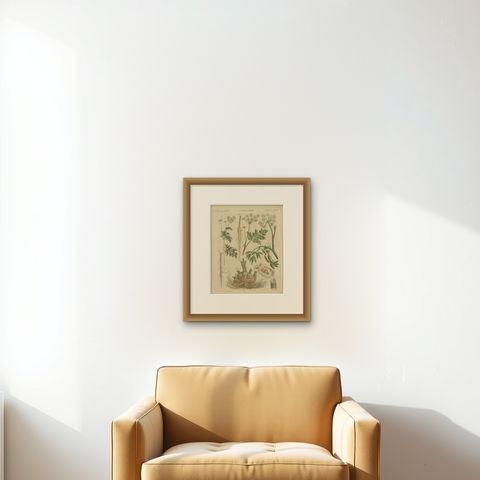 Chervil, Parsley and Celeriac Kitchen Herbs, Antique Bertuch Print, circa 1802, shown framed on a wall