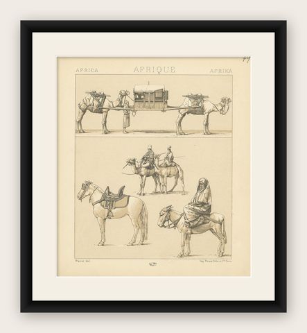 Antique Print of African Working Animals by Racinet, 'circa 1880', shown framed