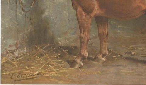Antique Print of the Suffolk Horse by O. Eerelman, 1898, view 4