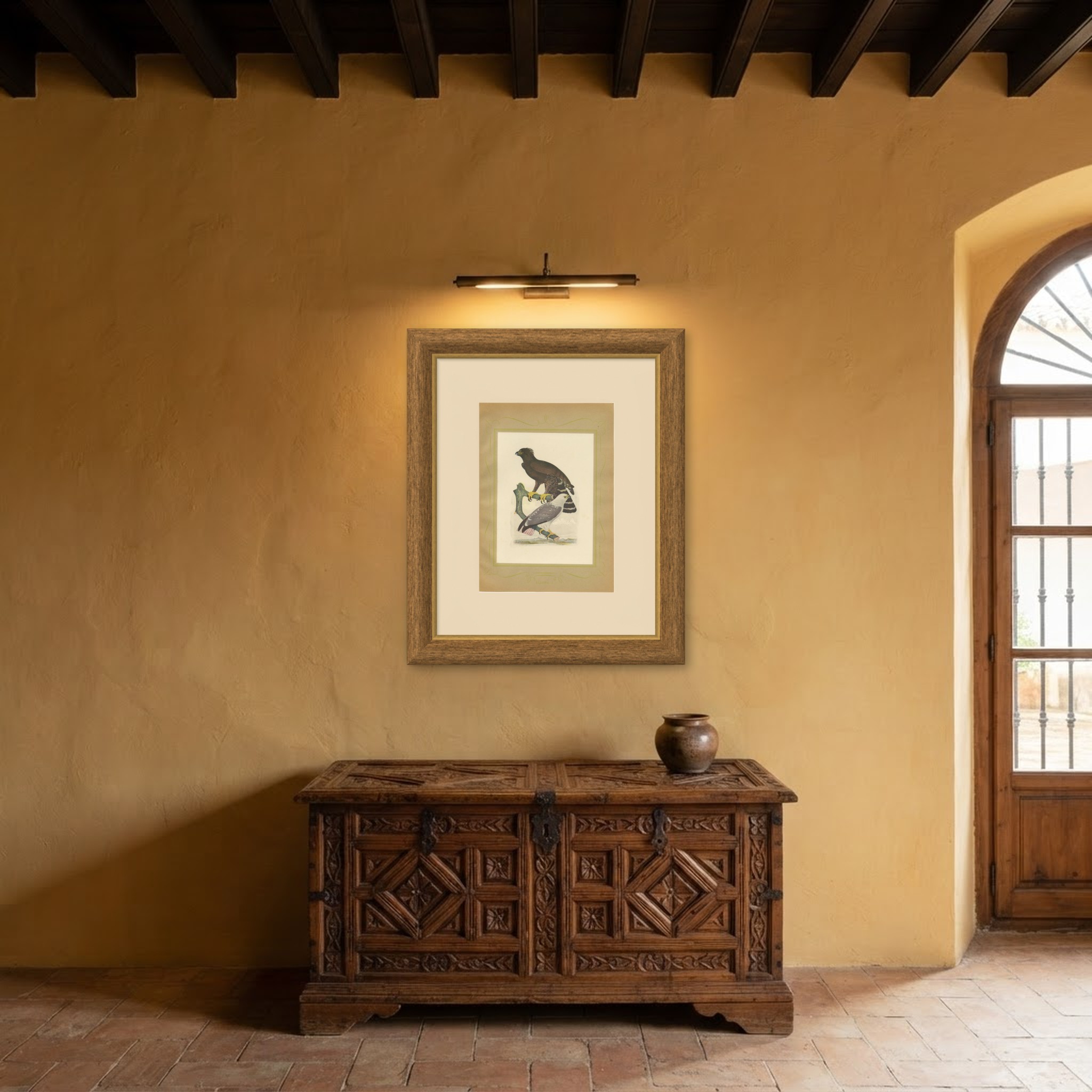 Ornate and Black-and-White Hawk-Eagles, Brazilian Bird Print, Descourtilz, 1944, shown framed in a room