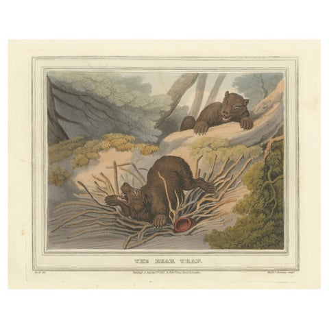 Foreign Field Sports: The Bear Triap Aquatint by Dubourg, Merke & Howitt, 1813