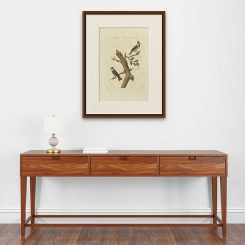 Antique Bird Print of the European Crested Tit by Sepp & Nozeman, 1829, shown framed on a wall