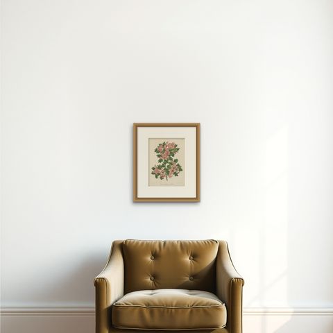 Antique Plant Print of the Crataegus Oxyacantha by G. Severeyns, 1879, shown framed on a wall