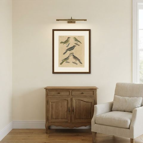 Goldcrest and Firecrest with Songbirds, Antique Bertuch Print, circa 1820, shown framed in a room