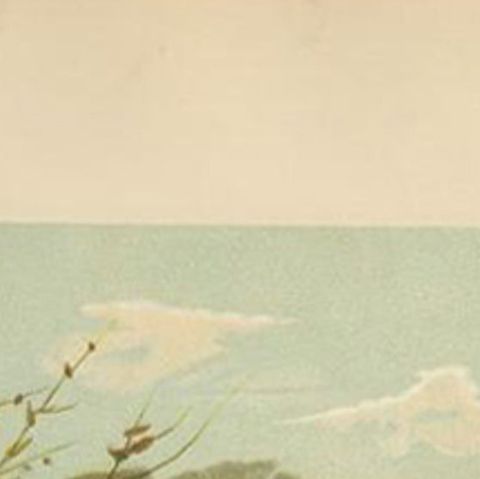 Antique Bird Print of Partridges by Prang, 1898, close-up 1