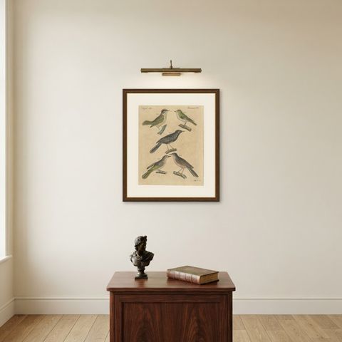 Goldcrest and Firecrest with Songbirds, Antique Bertuch Print, circa 1820, shown framed on a wall