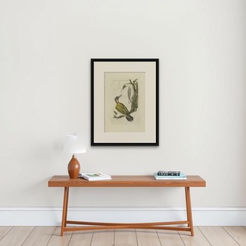 Antique Bird Print of the Green Woodpecker by Sepp & Nozeman, 1809, shown framed on a wall