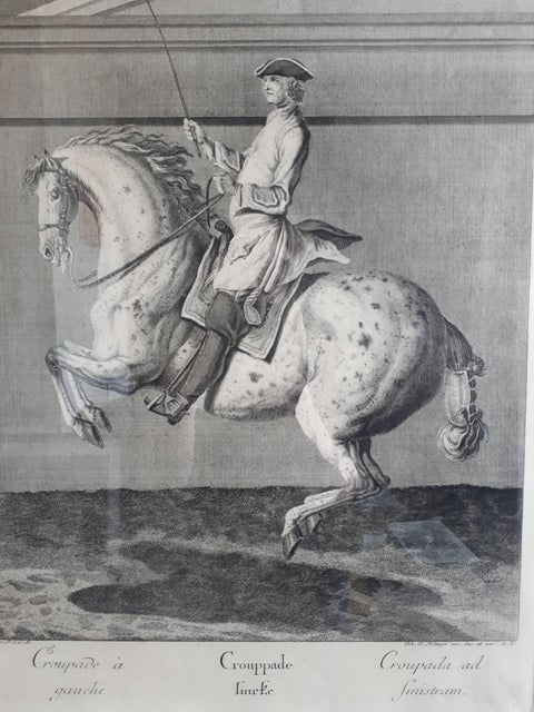 Antique Horse Print 'Croupade' by J. E. Ridinger, circa 1750, view 2