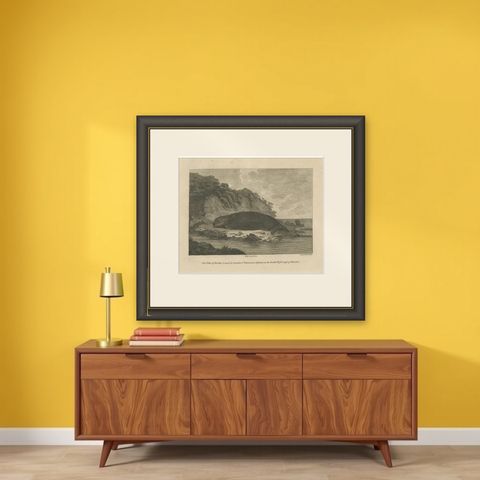 Antique Print of a Sea Otter of Nootka Sound in British Columbia, Canada, 1801, shown framed on a wall