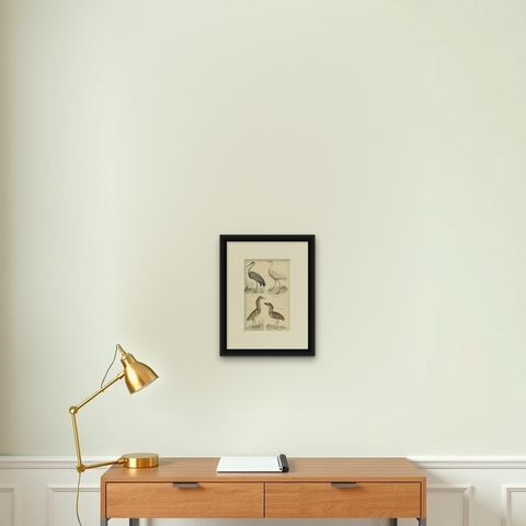 Old Bird Print of the Common Heron, Great Egret, Bittern and Boat Bill, ca.1860, shown framed on a wall