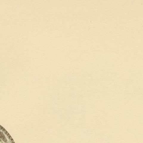 Antique Bird Print of the Western Capercaillie 'Male' by Von Wright, 1929, close-up 1