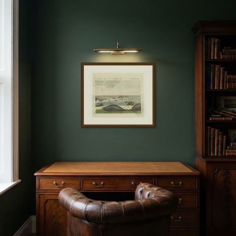 Elephant Seals on a Rocky Shore, Antique Bertuch Print, Vienna, circa 1809, shown framed in a room
