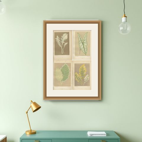 Vintage Botanical Elegance: A Study of Leaves and Patterns, Published in 1880, shown framed on a wall