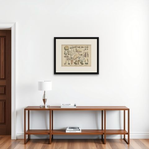 Agaricus Mushrooms, Antique Botanical Lithograph, German Mycology 1885, shown framed on a wall
