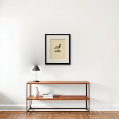 Antique Bird Print of the Common Pochard by Von Wright, 1929, shown framed on a wall