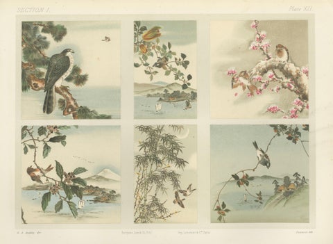 Antique Japanese Bird and Landscape Print: Six Panels of Nature’s Harmony, 1882, close-up 5