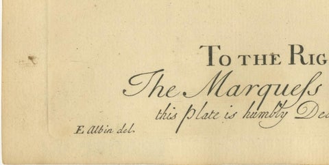 English Moths on Oak, Hand-Colored Insect Engraving, Eleazar Albin 1720, view 10