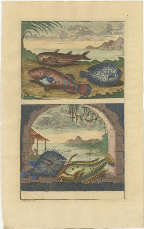 Set of 8 Colored Antique Prints of Various Fishes and Crustaceans, view 2