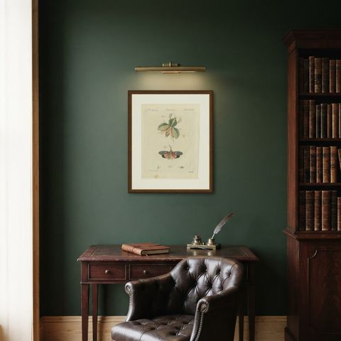 Walking Leaf and Chinese Lantern Fly, Antique Bertuch Print, Vienna, circa 1805, shown framed in a room