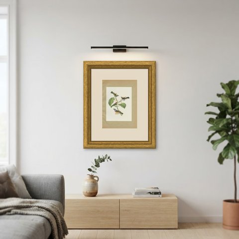 Tanagers and Warblers, Brazilian Bird Print, Descourtilz, 1944, shown framed on a wall