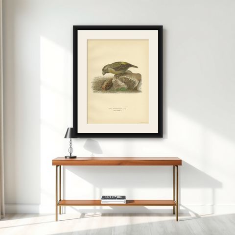 Antique Bird Print of the Female Parrot Crossbill by Von Wright, 1927, shown framed on a wall