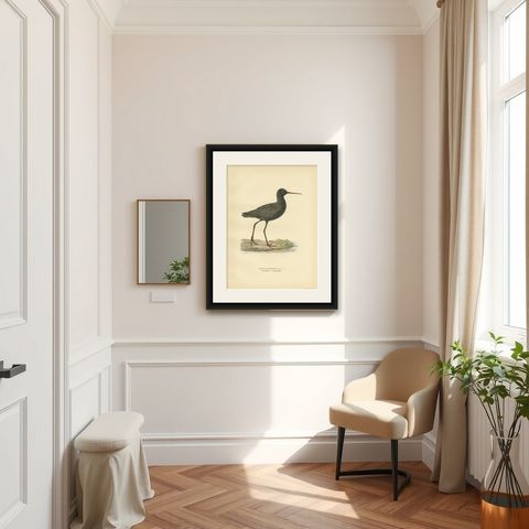Antique Bird Print of the Spotted Redshank 'Summer' by Von Wright, 1929, shown framed in a room